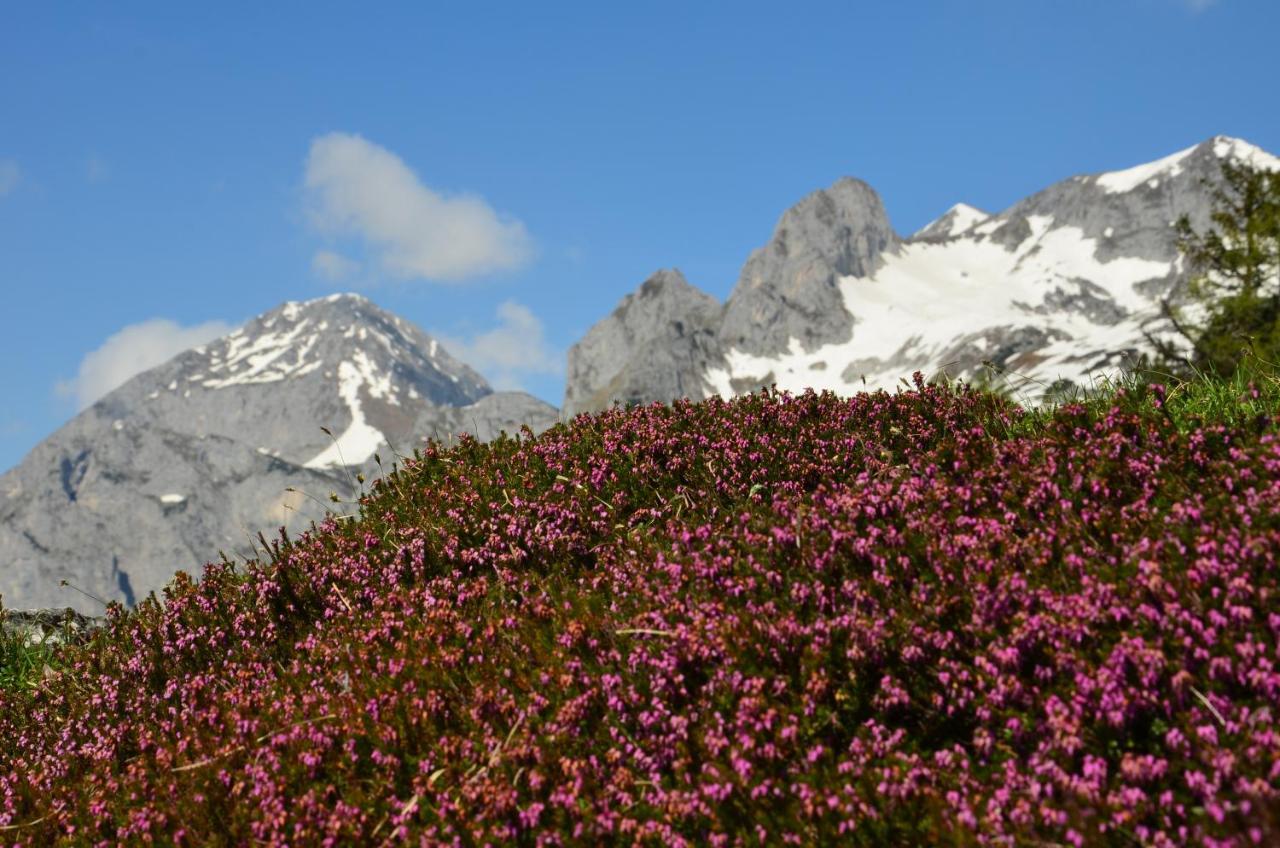 Apartment Tennengebirge Sankt Martin am Tennengebirge Εξωτερικό φωτογραφία