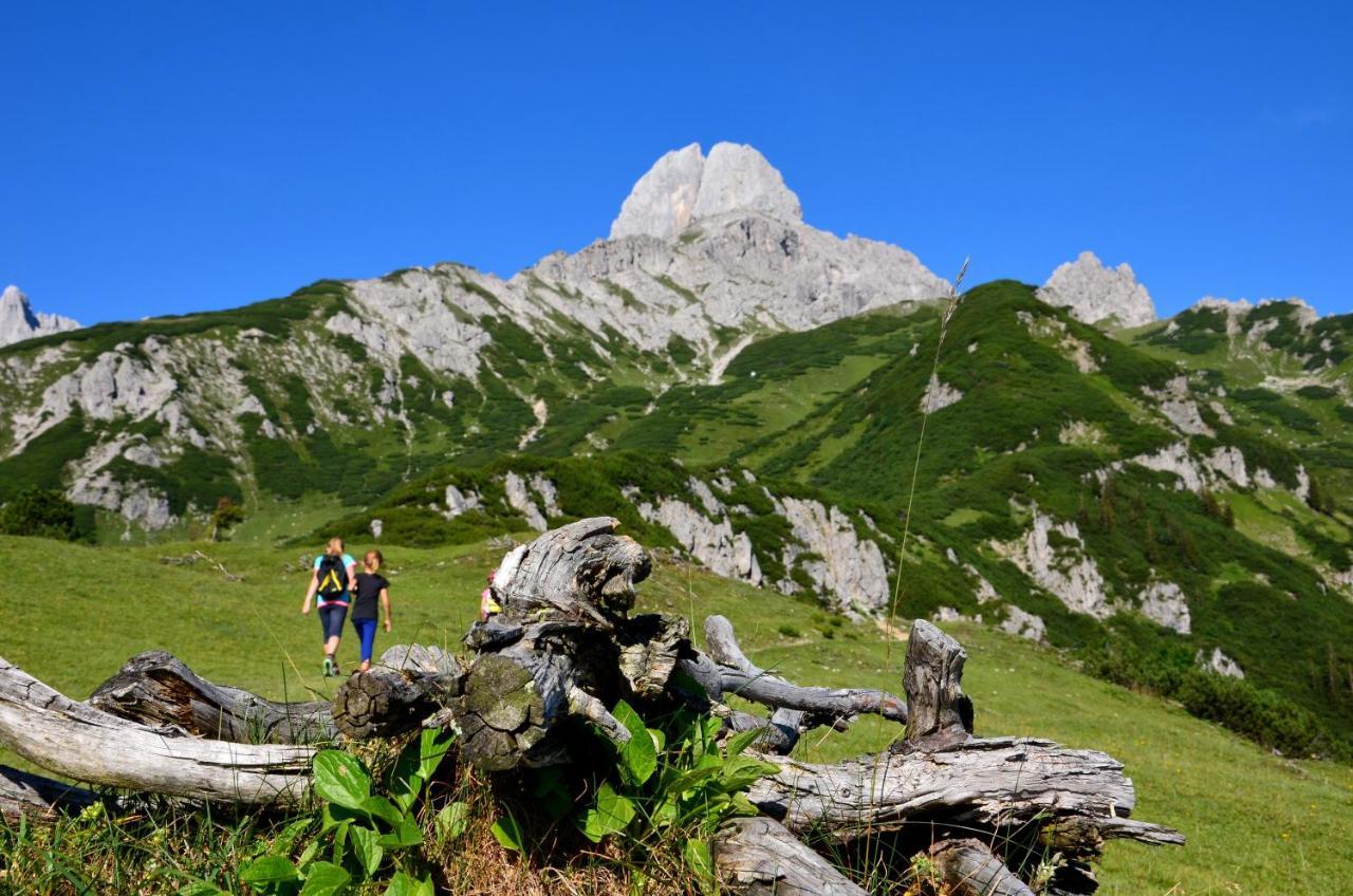 Apartment Tennengebirge Sankt Martin am Tennengebirge Εξωτερικό φωτογραφία