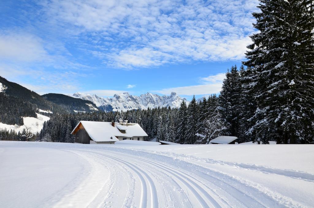 Apartment Tennengebirge Sankt Martin am Tennengebirge Εξωτερικό φωτογραφία