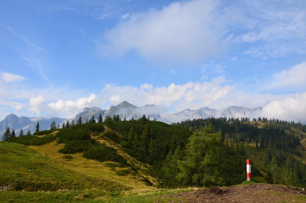 Apartment Tennengebirge Sankt Martin am Tennengebirge Εξωτερικό φωτογραφία
