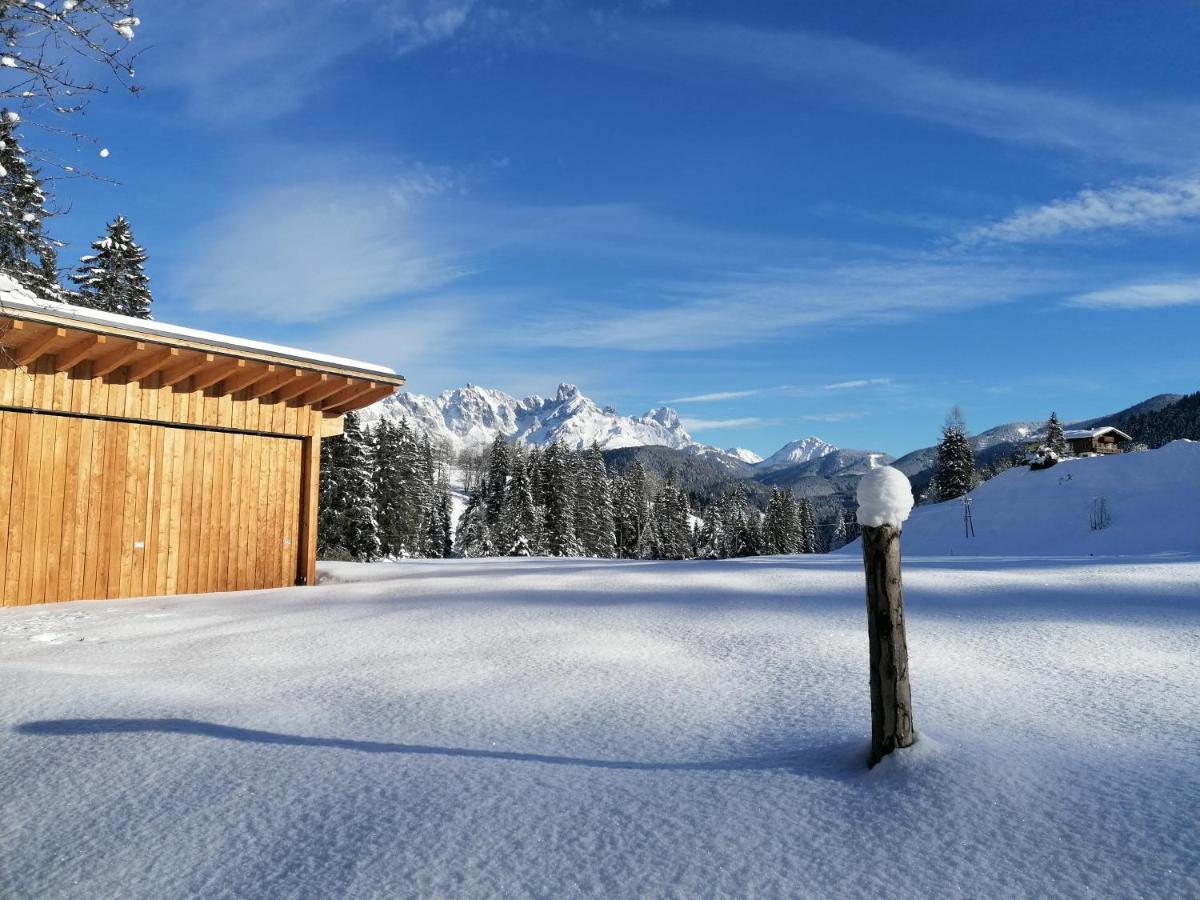 Apartment Tennengebirge Sankt Martin am Tennengebirge Εξωτερικό φωτογραφία
