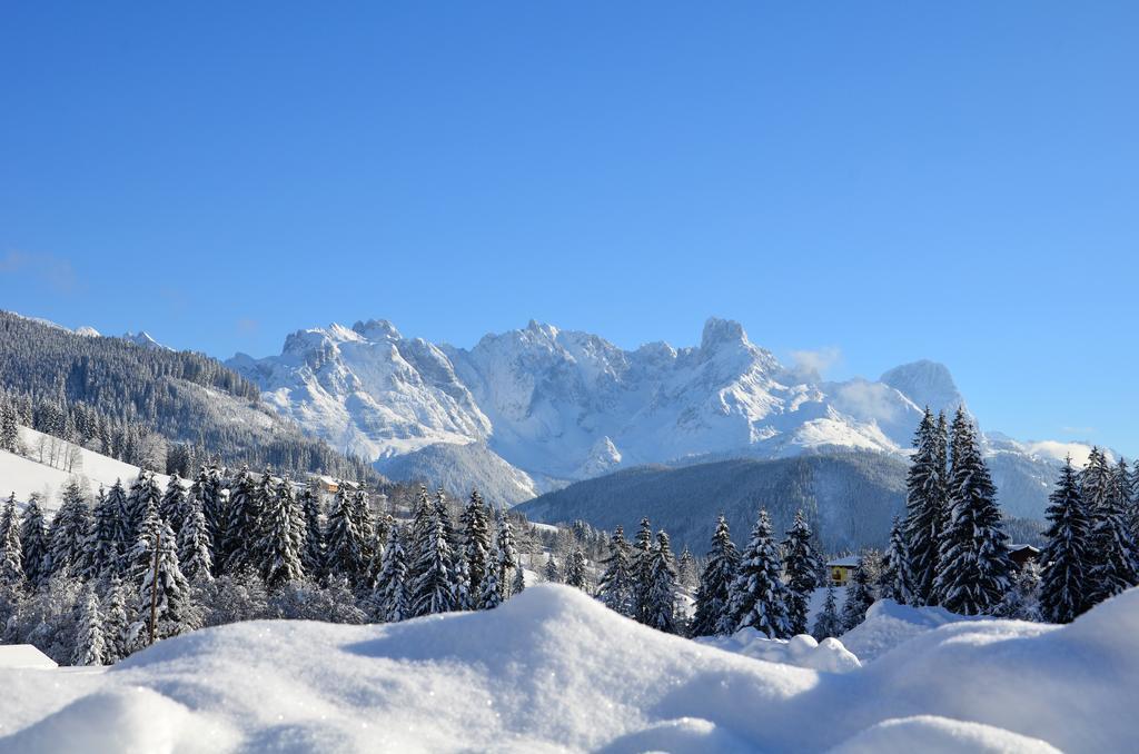 Apartment Tennengebirge Sankt Martin am Tennengebirge Εξωτερικό φωτογραφία