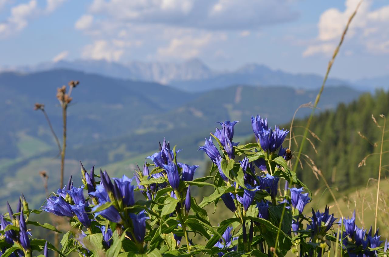 Apartment Tennengebirge Sankt Martin am Tennengebirge Εξωτερικό φωτογραφία